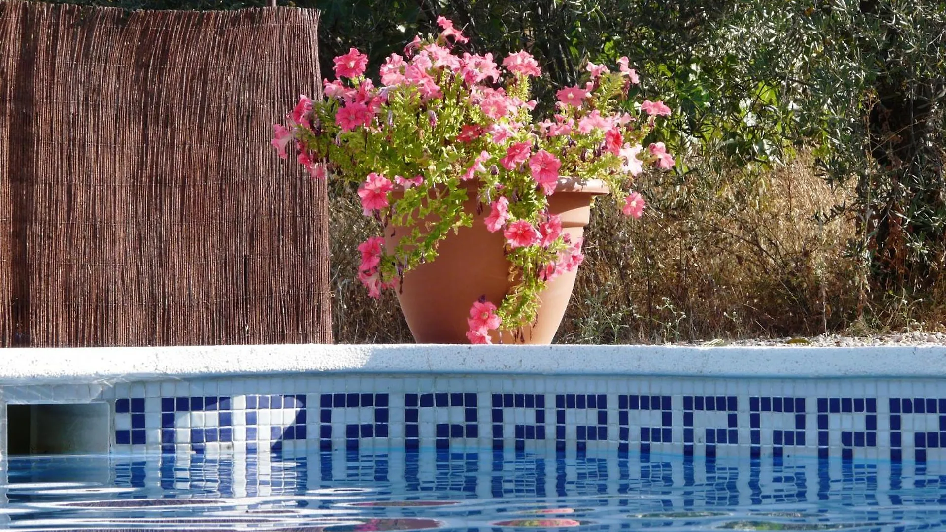 Cortijo La Estrella Apartment Velez Rubio